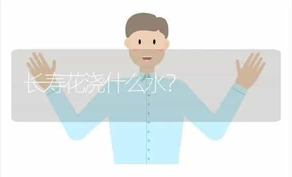 长寿花浇什么水？ | 多肉养殖