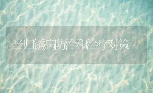 当归锈病防治和治疗对策 | 药材种植