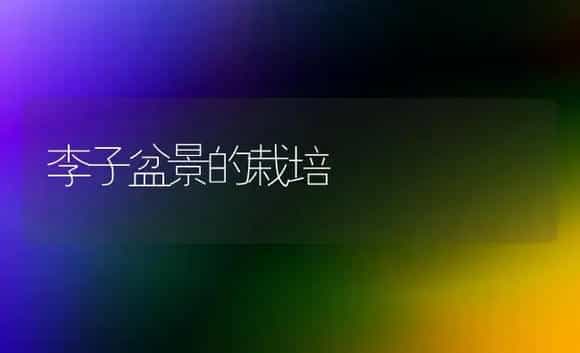 李子盆景的栽培 | 家庭养花