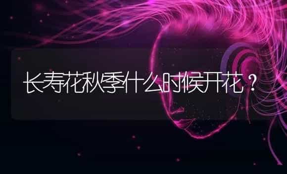 长寿花秋季什么时候开花？ | 多肉养殖