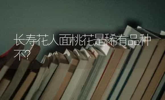 长寿花人面桃花是稀有品种不？ | 多肉养殖