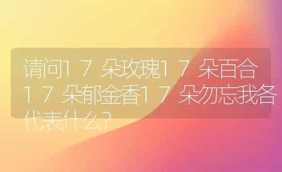 请问17朵玫瑰17朵百合17朵郁金香17朵勿忘我各代表什么？ | 绿植常识