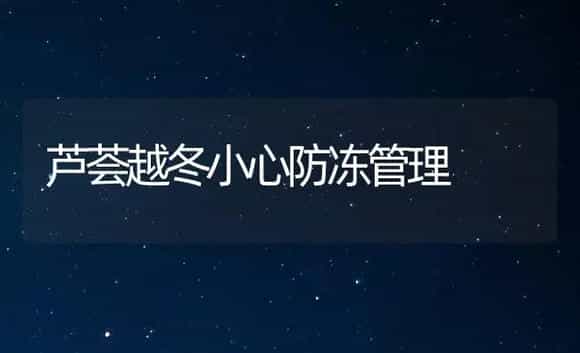 芦荟越冬小心防冻管理 | 家庭养花