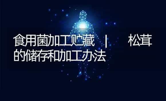 松茸的储存和加工办法 | 菌菇种植