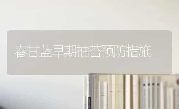 春甘蓝早期抽苔预防措施 | 特种种植