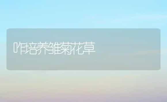 咋培养雏菊花草 | 家庭养花