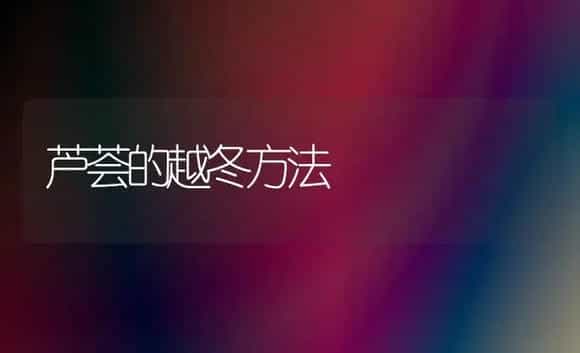 芦荟的越冬方法 | 家庭养花