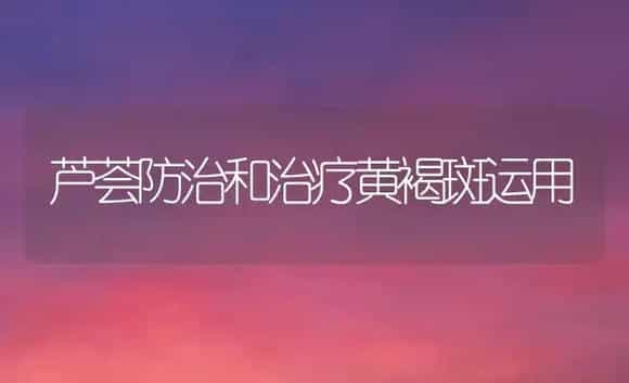 芦荟防治和治疗黄褐斑运用 | 家庭养花