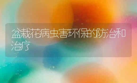 盆栽花病虫害环保的防治和治疗 | 家庭养花