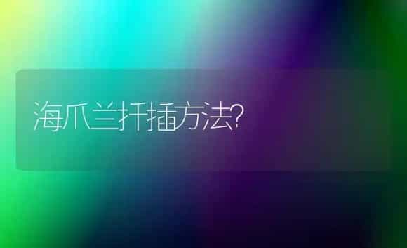 海爪兰扦插方法？ | 多肉养殖