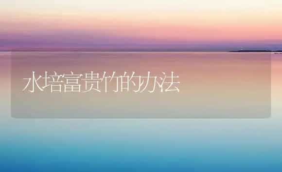 水培富贵竹的办法 | 家庭养花