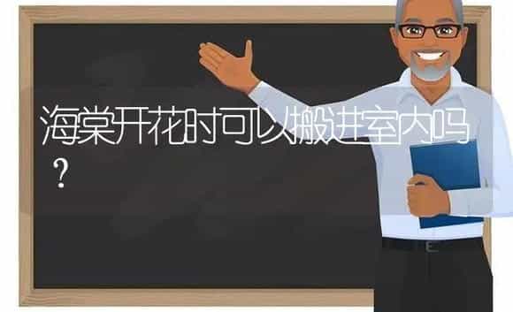 海棠开花时可以搬进室内吗? | 绿植常识