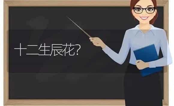 十二生辰花？ | 绿植常识
