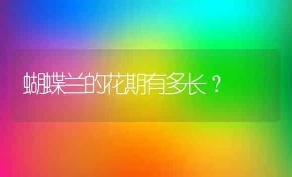 蝴蝶兰的花期有多长？ | 绿植常识