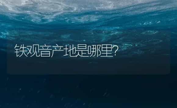铁观音产地是哪里？ | 农作物种植