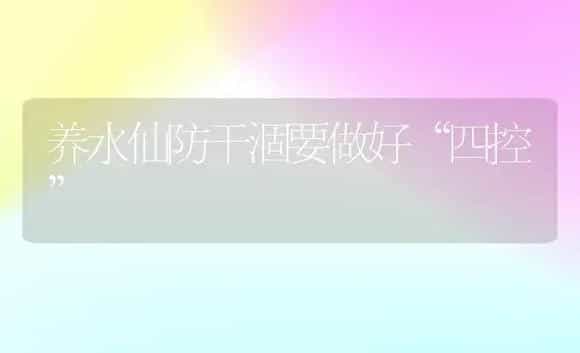 养水仙防干涸要做好“四控” | 家庭养花