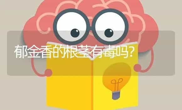 郁金香的根茎有毒吗？ | 绿植常识