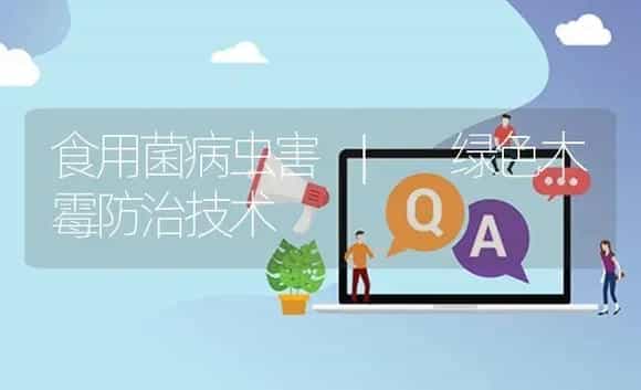 绿色木霉防治技术 | 菌菇种植