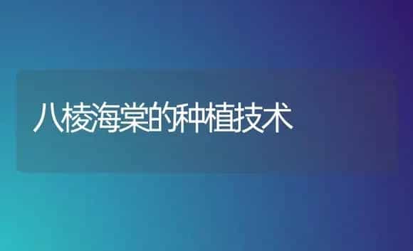八棱海棠的种植技术 | 家庭养花