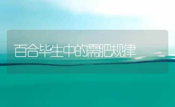 百合毕生中的需肥规律 | 家庭养花