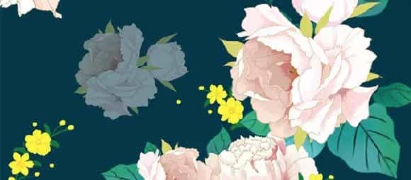 芍药花花语