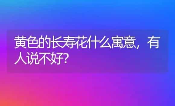 黄色的长寿花什么寓意,有人说不好？ | 多肉养殖