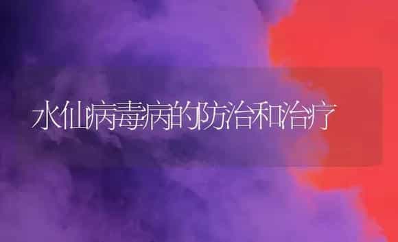 水仙病毒病的防治和治疗 | 家庭养花