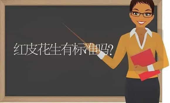 红皮花生有标准吗？ | 多肉养殖