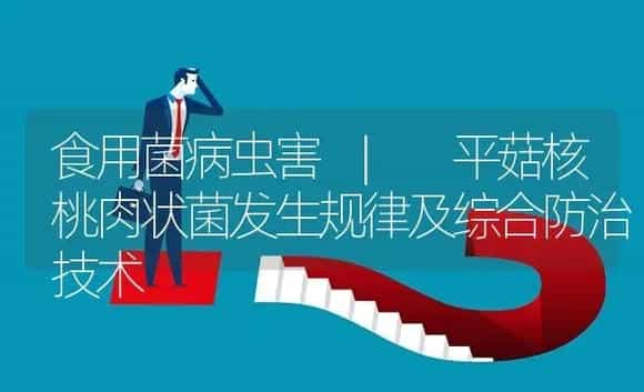 平菇核桃肉状菌发生规律及综合防治技术 | 菌菇种植
