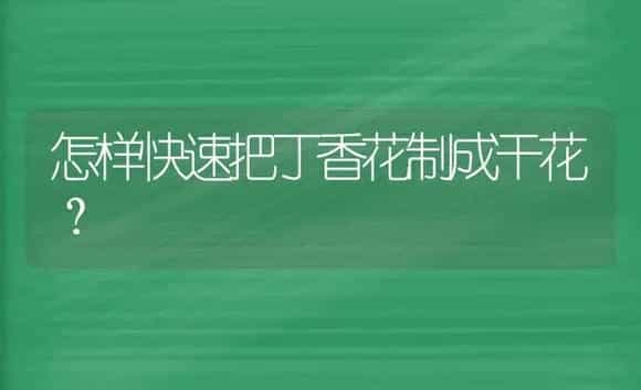 怎样快速把丁香花制成干花？ | 绿植常识