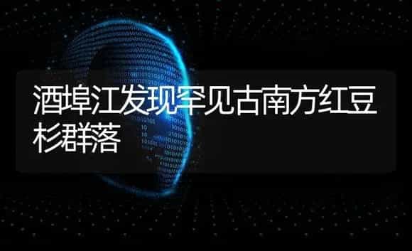 酒埠江发现罕见古南方红豆杉群落 | 特种种植