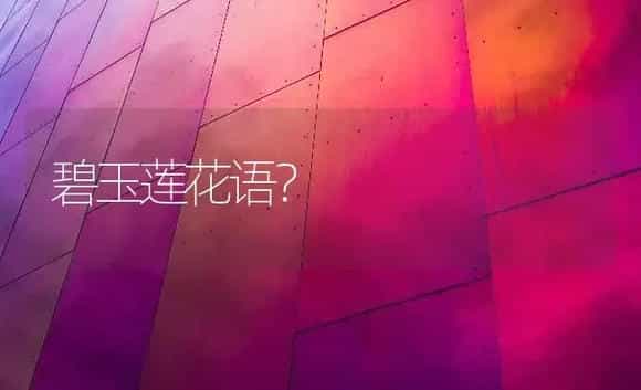 碧玉莲花语？ | 多肉养殖