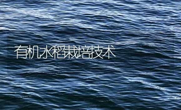 有机水稻栽培技术 | 农作物种植