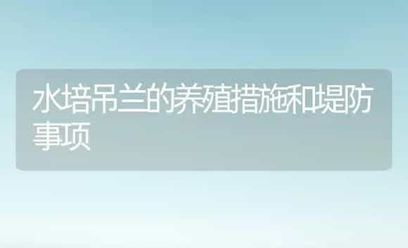 水培吊兰的养殖措施和堤防事项 | 家庭养花