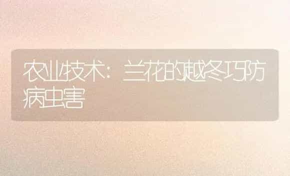 农业技术:兰花的越冬巧防病虫害 | 家庭养花