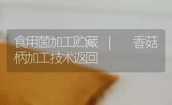 香菇柄加工技术返回 | 菌菇种植