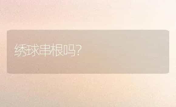 绣球串根吗? | 绿植常识