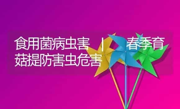 春季育菇提防害虫危害 | 菌菇种植