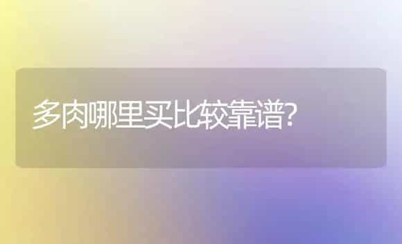 多肉哪里买比较靠谱？ | 多肉养殖