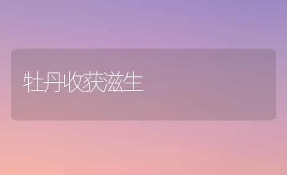 牡丹收获滋生 | 家庭养花