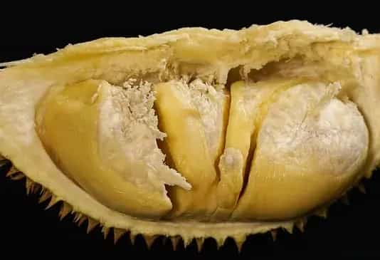 菠萝蜜贵还是榴莲贵？哪个营养价值更高？