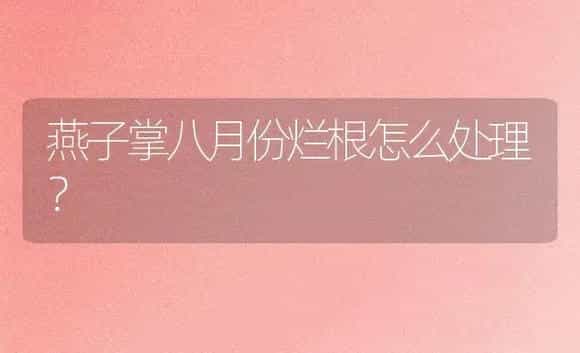 燕子掌八月份烂根怎么处理？ | 多肉养殖