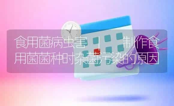 制作食用菌菌种时杂菌污染的原因 | 菌菇种植