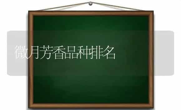 微月芳香品种排名 | 多肉养殖