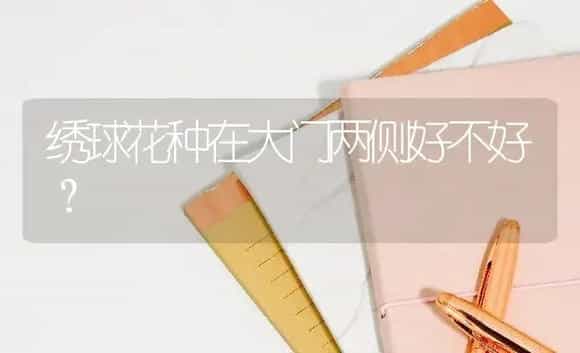 绣球花种在大门两侧好不好？ | 绿植常识