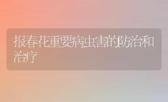 报春花重要病虫害的防治和治疗 | 家庭养花