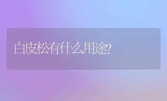 防正人兰“砍头” | 家庭养花
