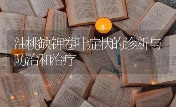 油桃缺钾卷叶症状的诊断与防治和治疗 | 果木种植