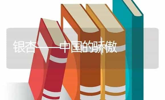 银杏——中国的骄傲 | 特种种植