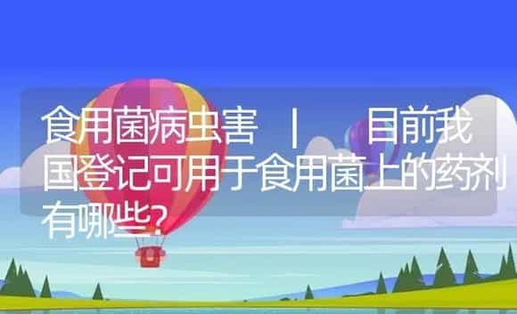 目前我国登记可用于食用菌上的药剂有哪些？ | 菌菇种植